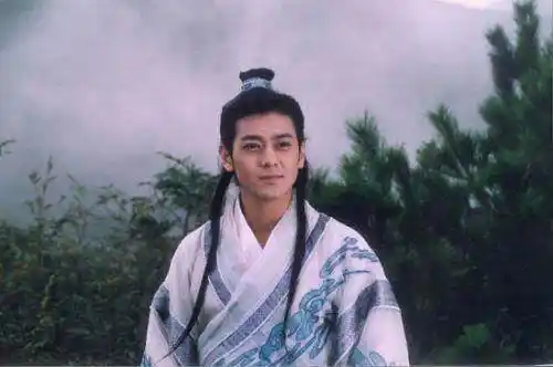 天龙八部中段誉的身世之谜，说他是段延庆之子，其实是漏洞百出